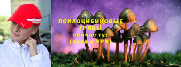 тгк Алексеевка