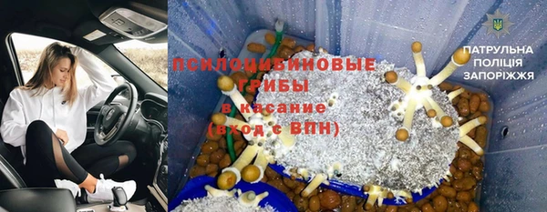 бошки Алзамай