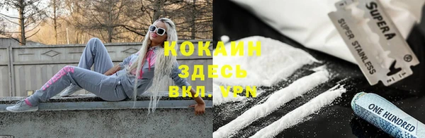тгк Алексин